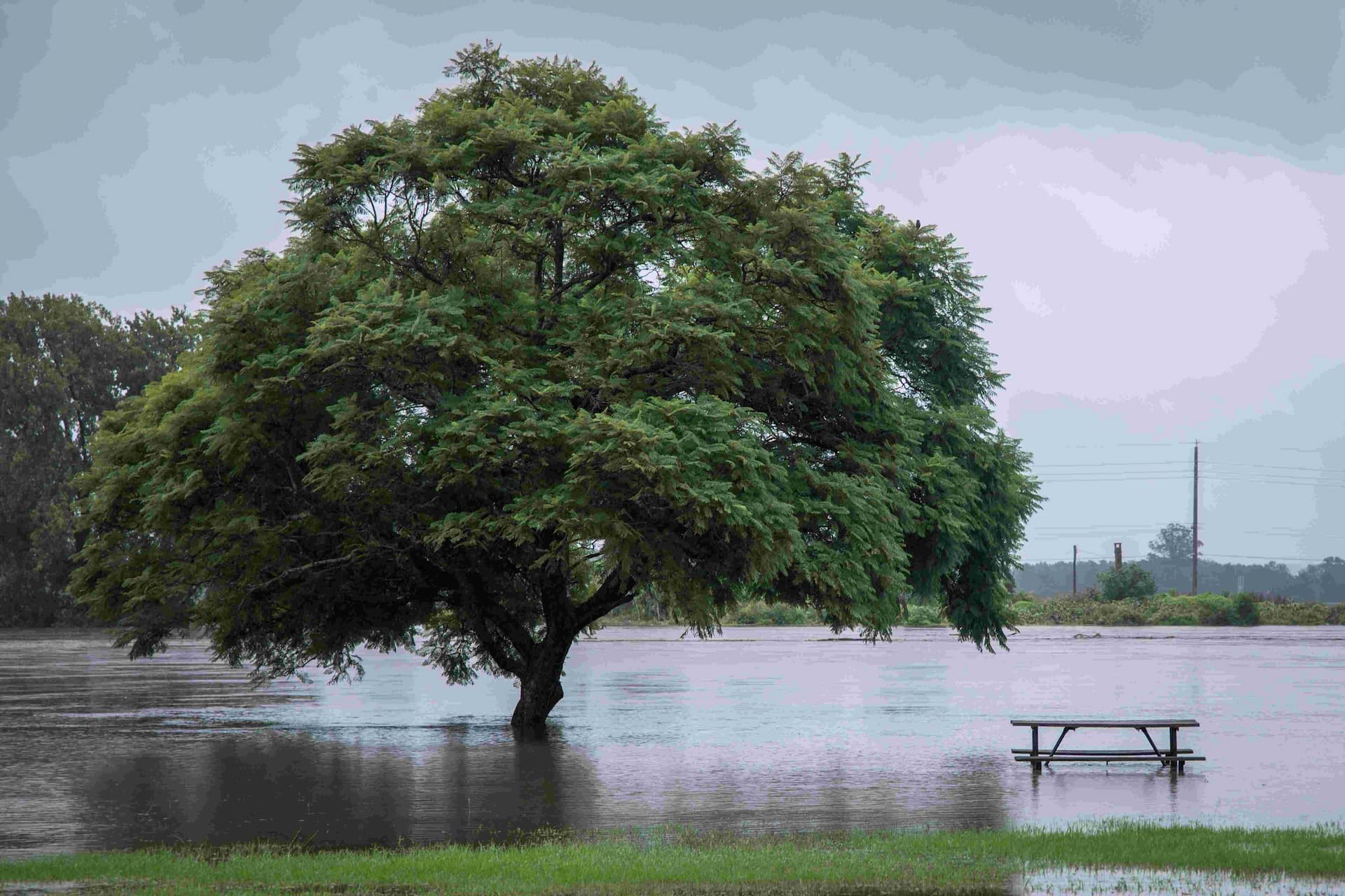 flood-situation-likely-to-get-worse-in-b-c-interior