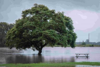 flood-situation-likely-to-get-worse-in-b-c-interior
