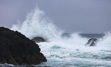 weather-warnings-in-effect-for-most-of-coastal-b-c-and-wind-gusts-topping-100-km-h-are-already-lashing-haida-gwaii