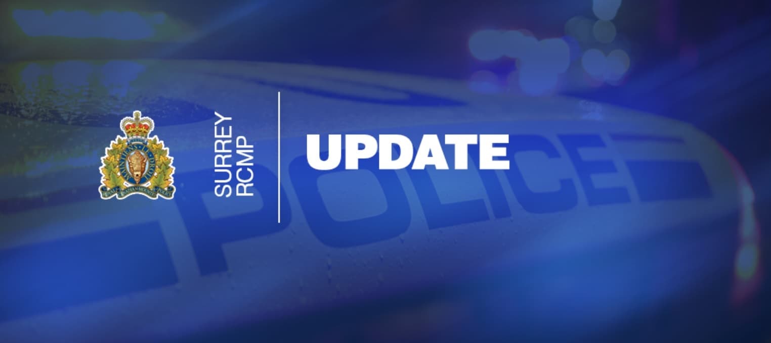 one-in-custody-after-human-remains-found-in-ditch-in-surrey