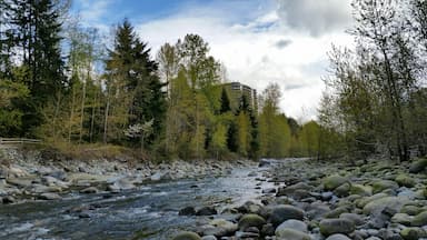 anglers-hikers-warned-of-river-fluctuations-on-capilano-river