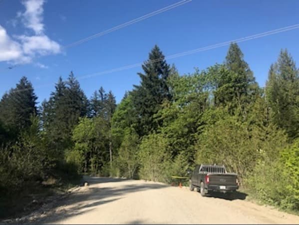 woman-attacked-by-a-cougar-has-injuries-to-her-head-face-and-arms-conservation-officer-service