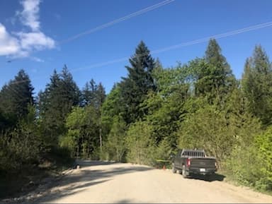 woman-attacked-by-a-cougar-has-injuries-to-her-head-face-and-arms-conservation-officer-service