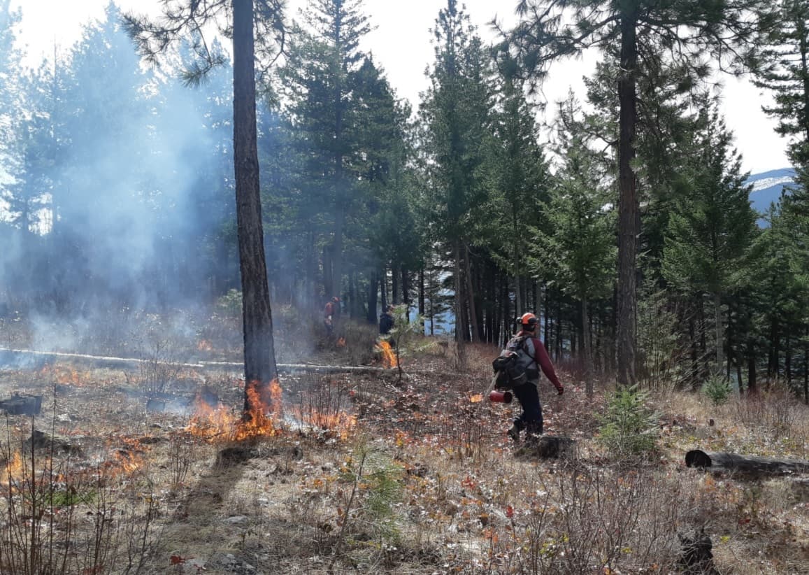 10-wildfires-burning-in-b-c-although-there-are-no-current-fires-of-note