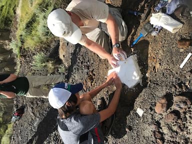 discovery-by-little-nathan-12-year-old-makes-fossil-find-in-southern-alberta