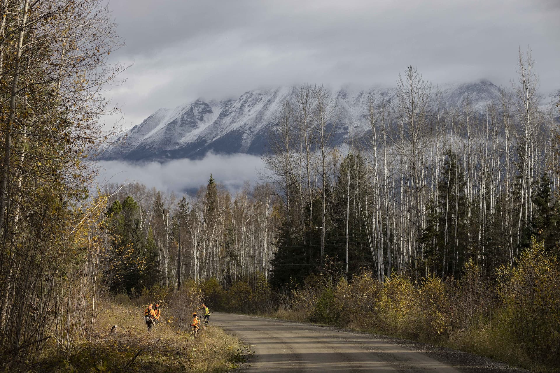 approval-for-a-pilot-project-using-a-night-vision-imaging-system-for-north-shore-search-and-rescue