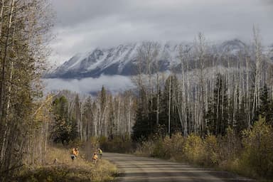 approval-for-a-pilot-project-using-a-night-vision-imaging-system-for-north-shore-search-and-rescue