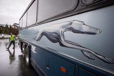 greyhound-canada-to-shut-down-temporarily-all-bus-routes-as-ridership-plunges
