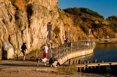 cold-water-swims-appear-to-becoming-a-way-to-beat-the-covid-19-blues