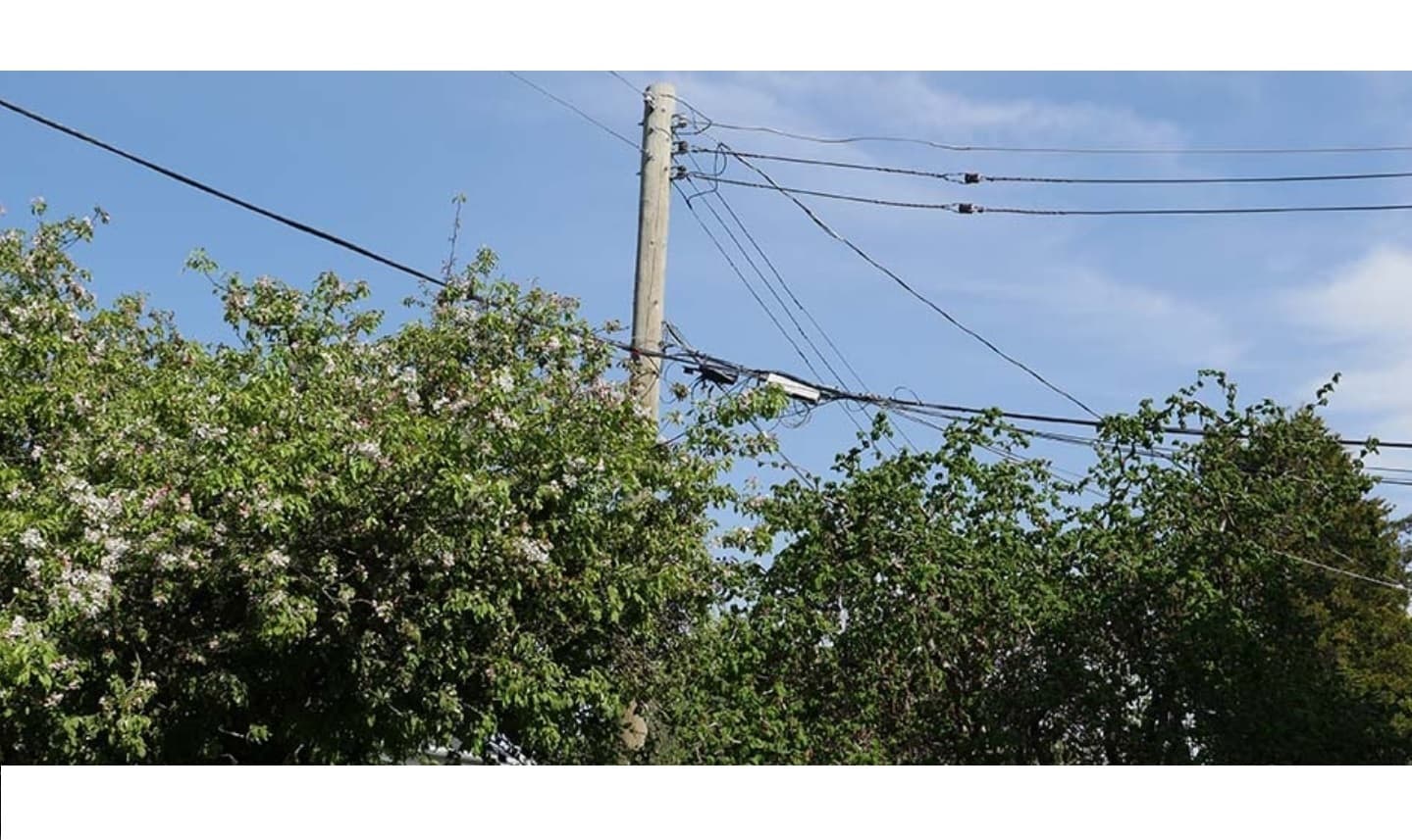 bc-hydro-report-raises-safety-concerns-as-pandemic-prompts-jump-in-yard-work