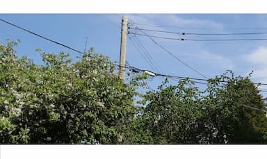 bc-hydro-report-raises-safety-concerns-as-pandemic-prompts-jump-in-yard-work