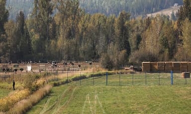 supreme-court-to-rule-next-week-on-b-c-ostrich-farm-appeal-over-avian-flu-cull