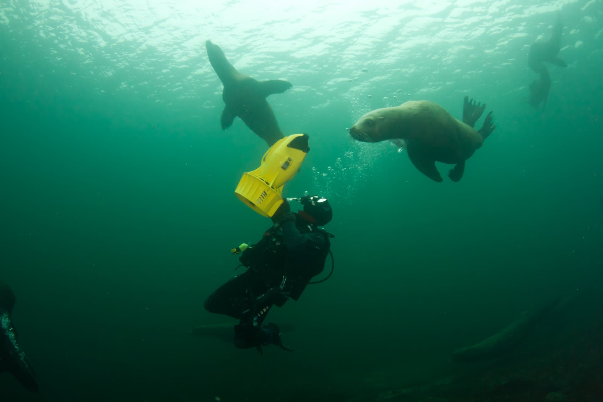 64-year-old-man-dead-during-a-scuba-diving-outing-off-west-vancouver