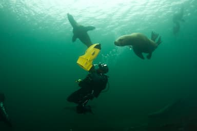 64-year-old-man-dead-during-a-scuba-diving-outing-off-west-vancouver