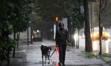 strong-wind-storm-knocks-out-power-to-nearly-100-000-bc-hydro-customers-across-b-c