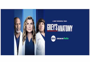 greys-anatomy-renewed-for-season-19