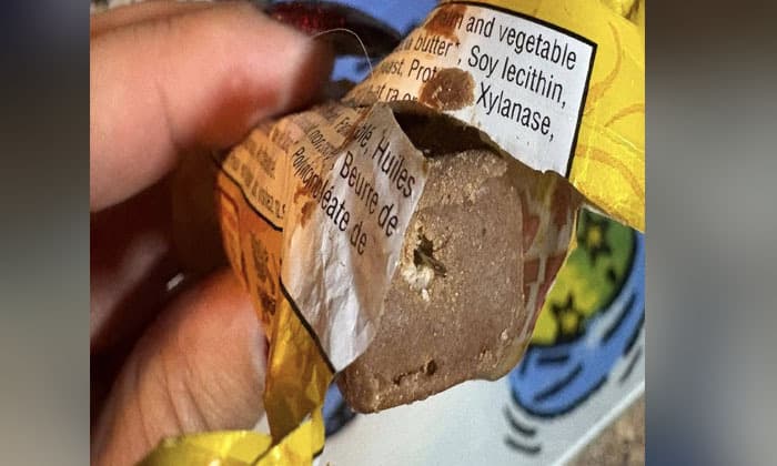 prince-george-rcmp-warn-families-after-needles-found-in-halloween-candy