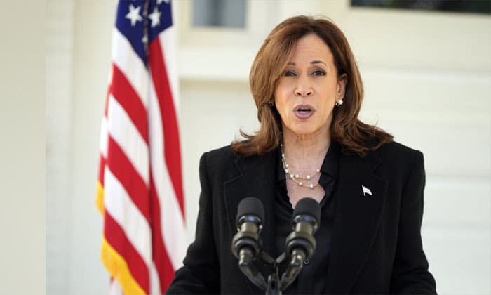 majority-of-canadians-would-vote-for-kamala-harris-in-u-s-election-poll