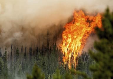 early-ban-on-open-burning-across-northeastern-b-c-starting-march-28