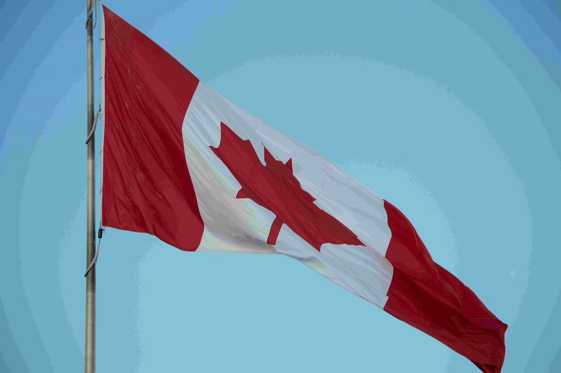 canada-over-half-of-study-permits-going-to-international-students-already-here