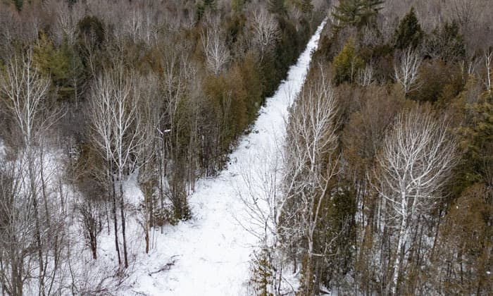 woman-two-young-children-missing-after-trying-to-cross-border-into-canada-rcmp
