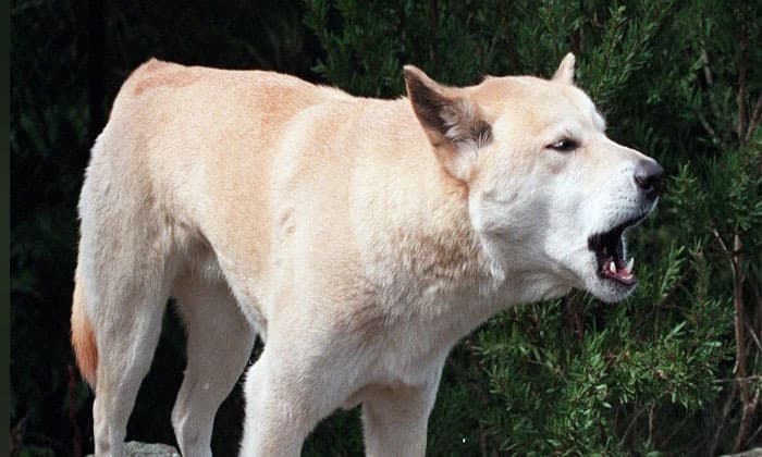 canadian-teens-death-on-australian-beach-shocks-friends-in-b-c