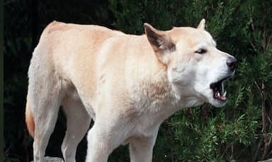 canadian-teens-death-on-australian-beach-shocks-friends-in-b-c