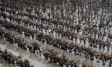 b-c-braces-for-more-flooding-as-heavy-rain-forecast-across-fraser-valley-and-vancouver-island