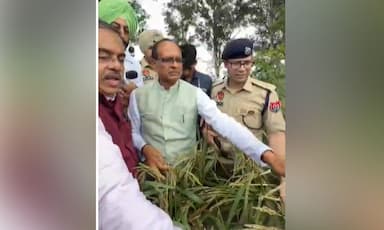 Shivraj Singh Chouhan visits flood-affected areas of Amritsar district