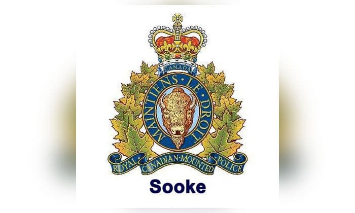 sooke-rcmp-seek-public-help-to-identify-suspects-in-counterfeit-currency-case