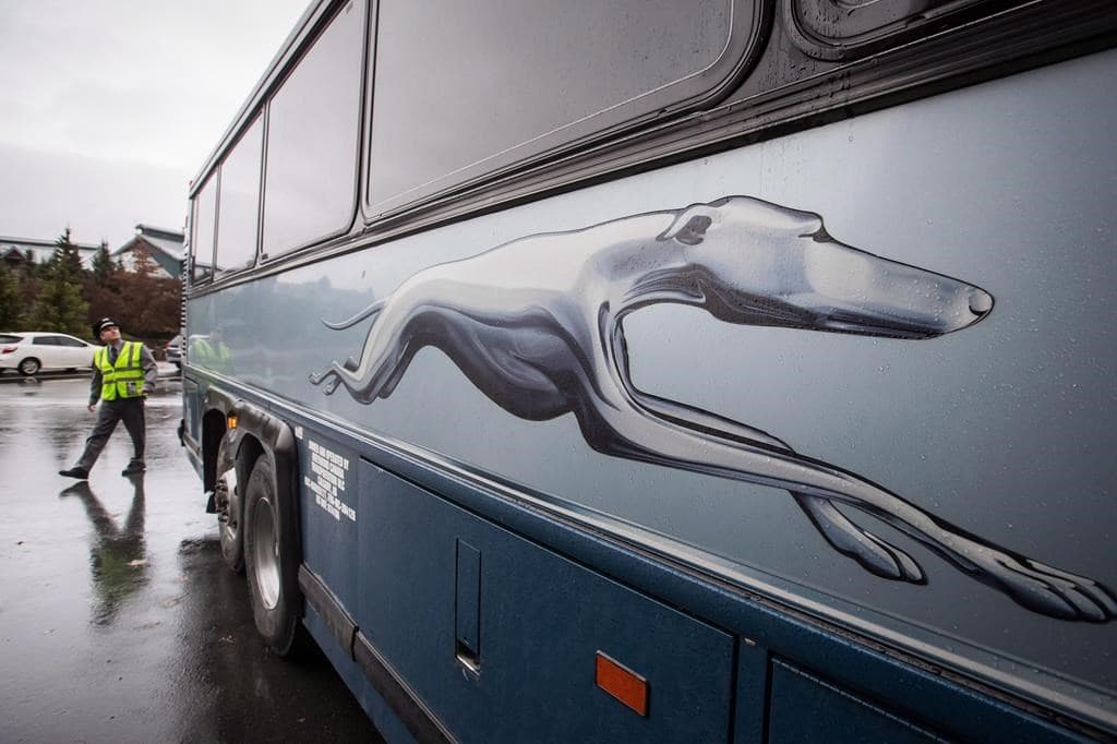 greyhound-canada-to-shut-down-temporarily-all-bus-routes-as-ridership-plunges