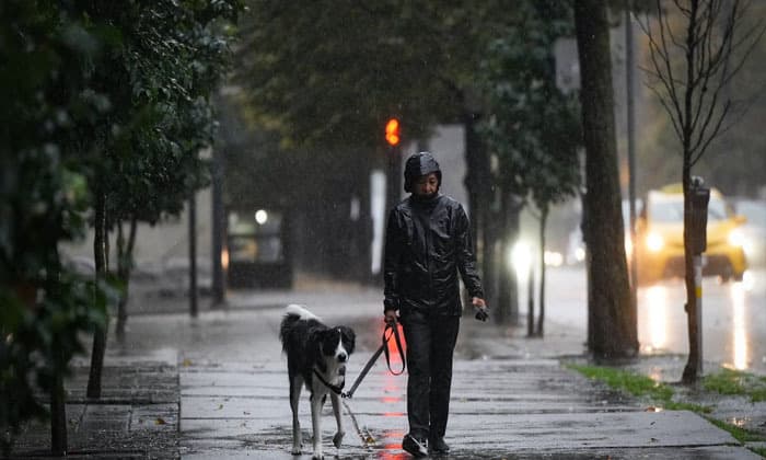 strong-wind-storm-knocks-out-power-to-nearly-100-000-bc-hydro-customers-across-b-c