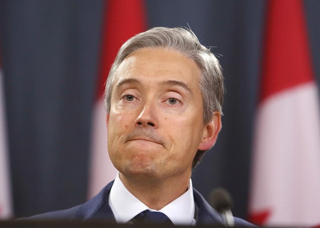 foreign-affairs-minister-in-london-to-chair-a-meeting-on-plane-crash