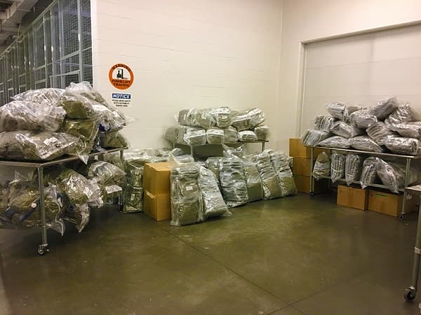 four-men-charged-in-connection-to-cannabis-exportation-investigation