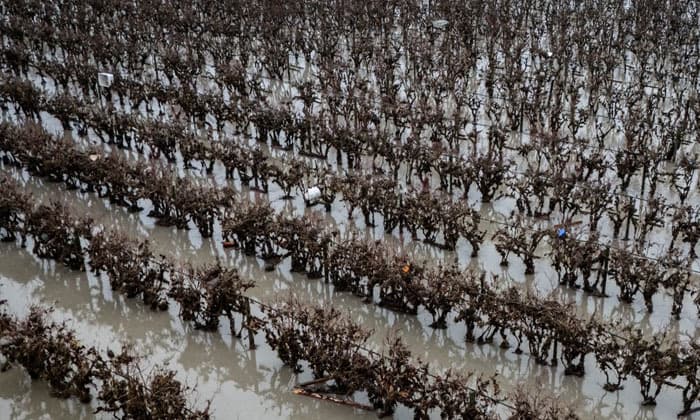 b-c-braces-for-more-flooding-as-heavy-rain-forecast-across-fraser-valley-and-vancouver-island